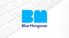 Blue mongoose card
