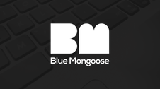 Blue mongoose card