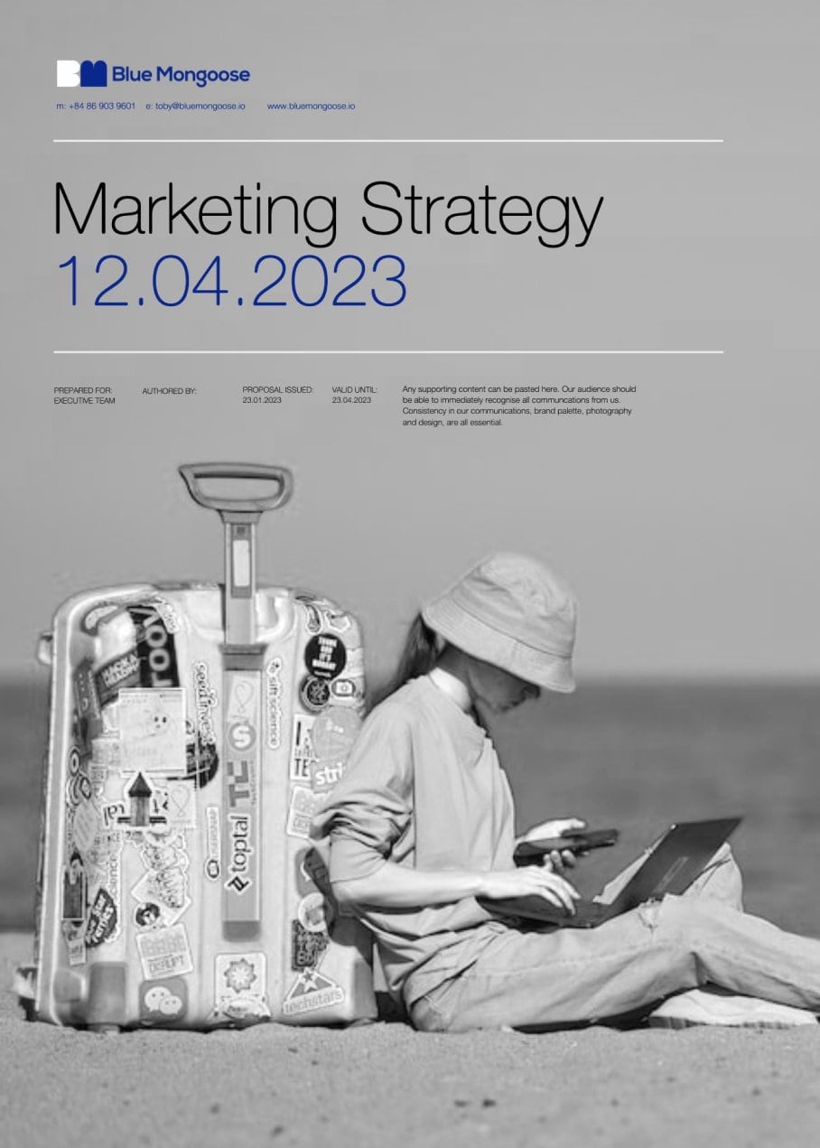 Marketing strategy image